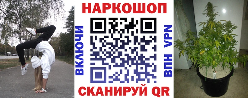Купить закладку Каннабис  Галлюциногенные грибы  ГАШИШ  ТГК  Кокаин  А ПВП  Меф мяу мяу  Моршанск