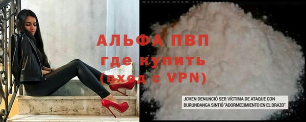 ECSTASY Ладушкин