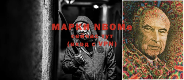 ECSTASY Ладушкин