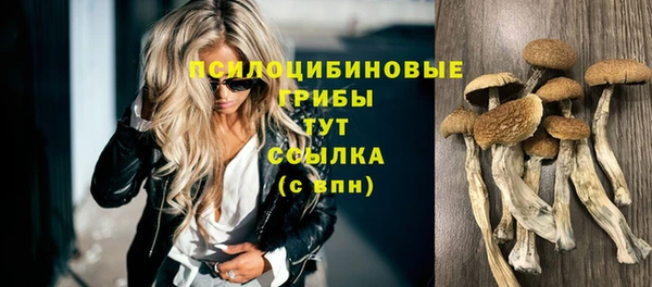 ECSTASY Ладушкин