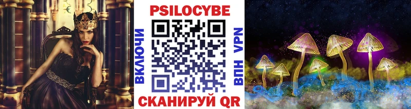 Купить  Моршанск  Псилоцибиновые грибы Magic Shrooms 